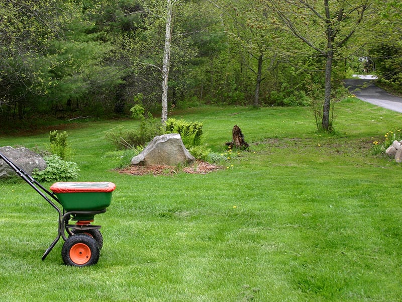 fertilizing