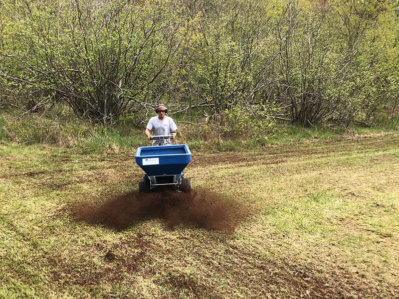 top dressing