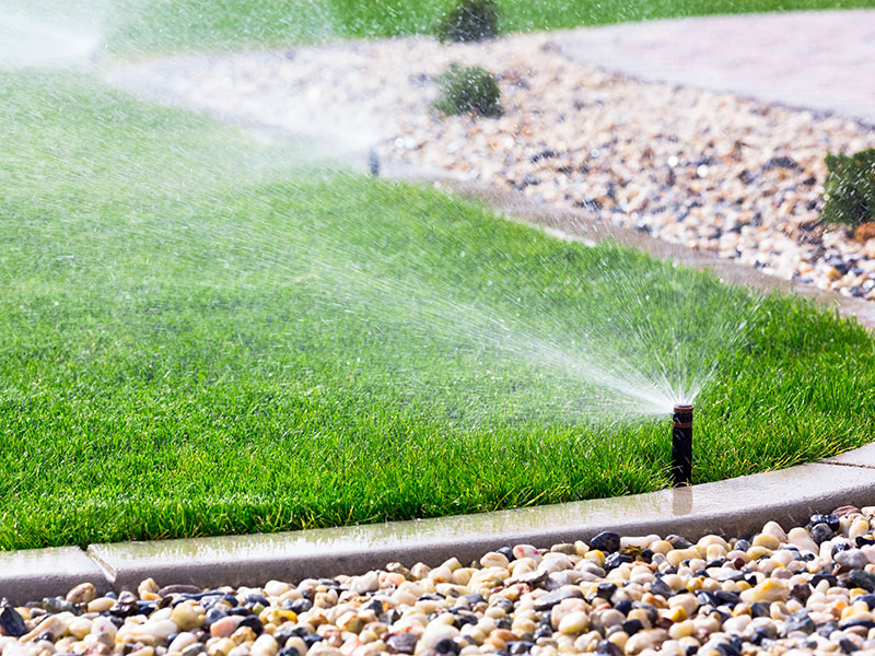 McMullen-irrigation outdoor living space